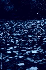 preview cold