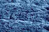 preview cold