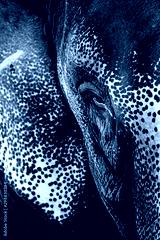 preview cold