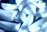 preview cold
