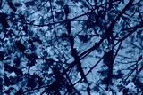 preview cold