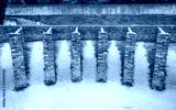preview cold