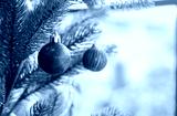 preview cold