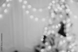 preview bw