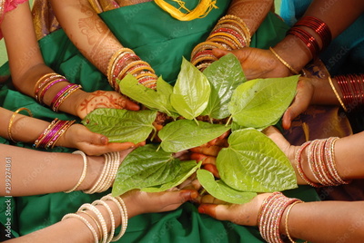 image to crop