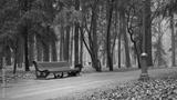 preview bw