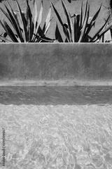 preview bw
