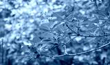 preview cold