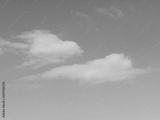 preview bw