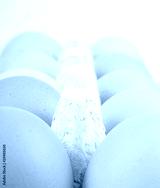 preview cold