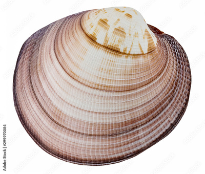 image to crop