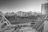 preview bw
