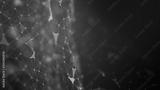 preview bw