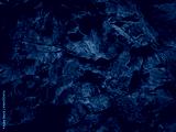 preview cold