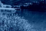 preview cold