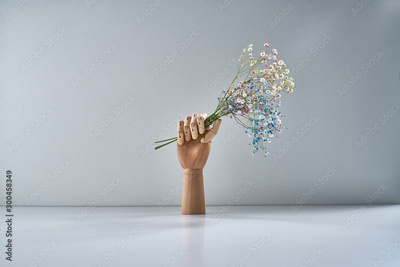 image to crop