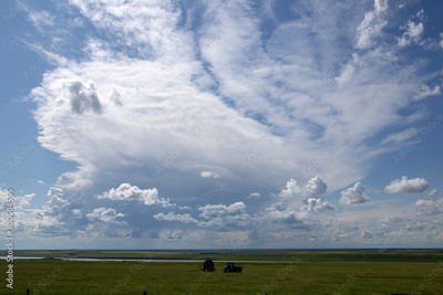 image to crop