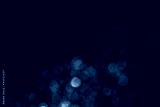 preview cold