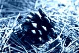 preview cold