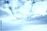 preview cold