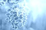 preview cold