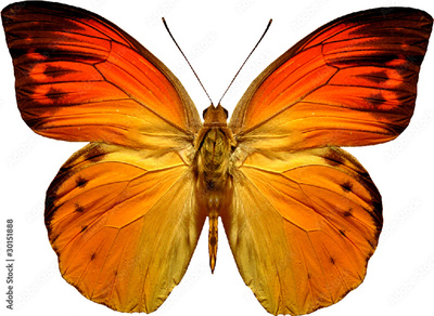 image to crop