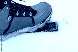 preview cold