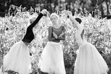 preview bw