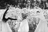 preview bw