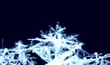 preview cold