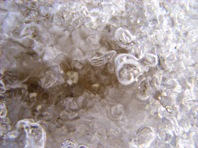 image to crop