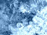 preview cold
