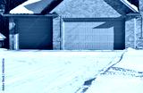 preview cold