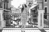 preview bw