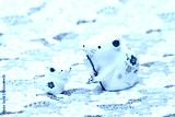 preview cold