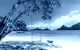preview cold