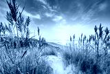 preview cold