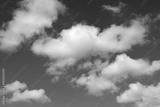 preview bw