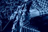 preview cold