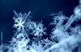 preview cold