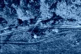 preview cold