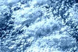 preview cold