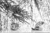 preview bw