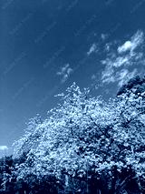preview cold