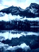 preview cold