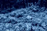 preview cold