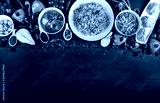 preview cold