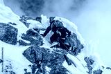 preview cold