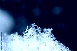preview cold