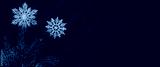 preview cold